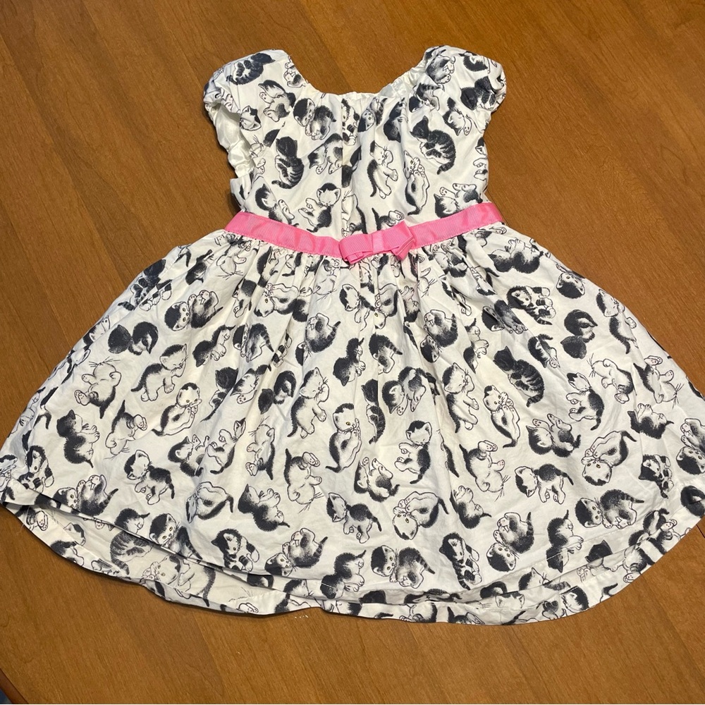 Little Golden Books Moments Girl 4T Cat Kitten Print Tulle Dress Pink Ribbon Bow